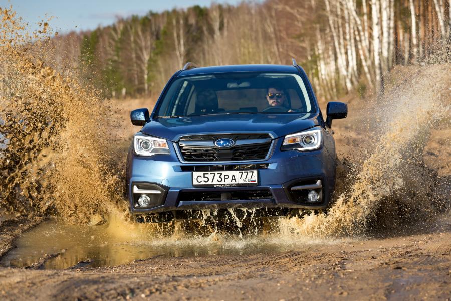  Subaru Forester 2.5i 2016 года  (фото 5 из 30)